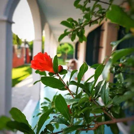 Lejlighed Casa Del Vigneto - New Near Venice - Rooms+bathroom - Independent Spinea