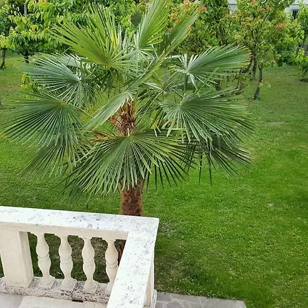 Casa Del Vigneto - New Near Venice - Rooms+bathroom - Independent Lejlighed Spinea
